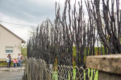 Dettingen: Beim Unkraut abflammen geriet Hecke in Brand und beschaedigt PKW